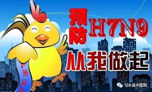 H7N9没你想得那么可怕 理性看待家禽销售