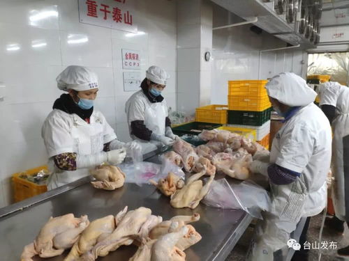 热心企业解家禽销售燃眉之急