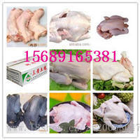 西装鸡 家禽市场的新宠与销售策略探析