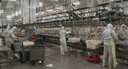 疫情催化家禽消费变革 全国多地力推集中屠宰与冰鲜上市